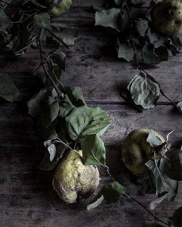 bw_squash_DSC5911