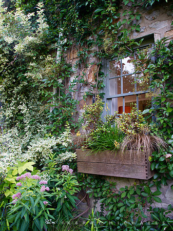 Andrew Bunting Garden