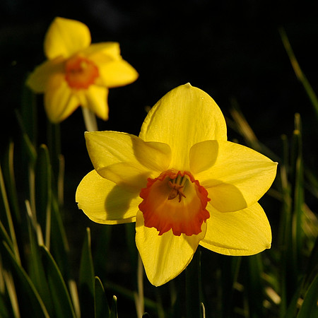 DSC_1375.JPG