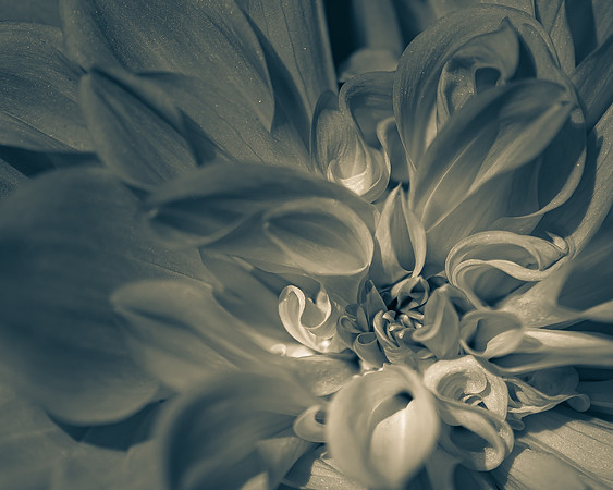 Cafe Au Lait 1_7504640