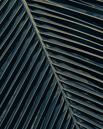 Panama 1_7504976