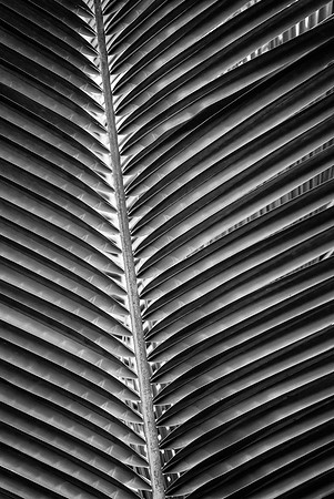 Panama 5_7505030-Edit
