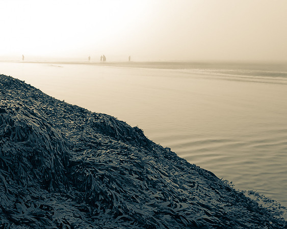 Popham 7_DSC6796-2