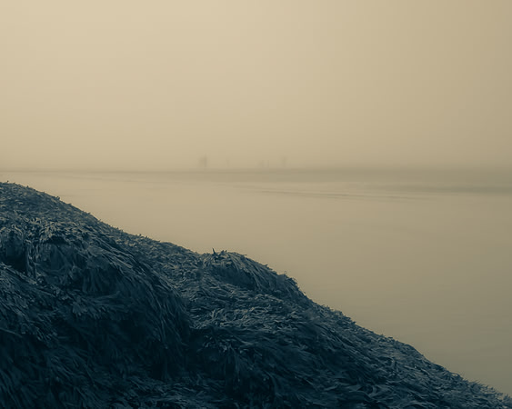 _DSC6799-2