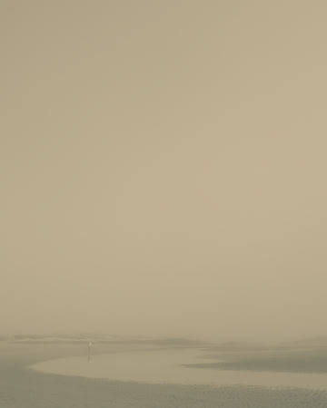_DSC6787