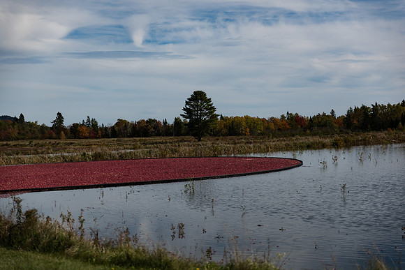 _DSC3406