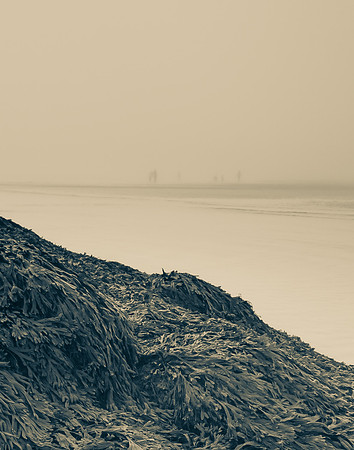 Popham Beach 16X20 Image 11X14 (DSC6799)