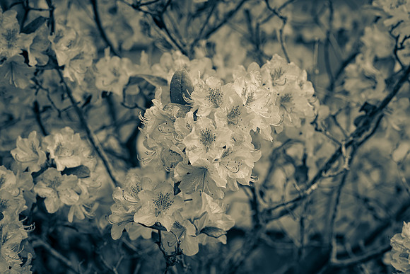 _DSC2048