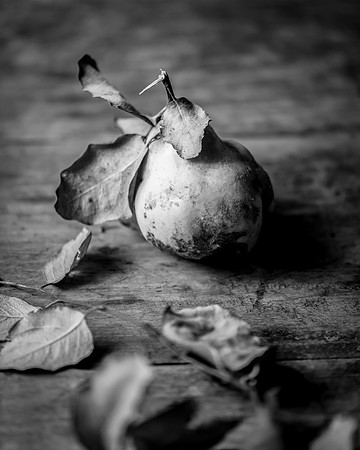 Pear _DSC7357