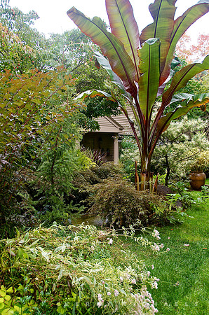 Lathi Garden