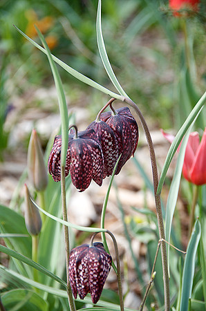 _DSC5949 - Version 2