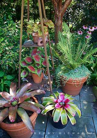 Andrew Bunting Garden