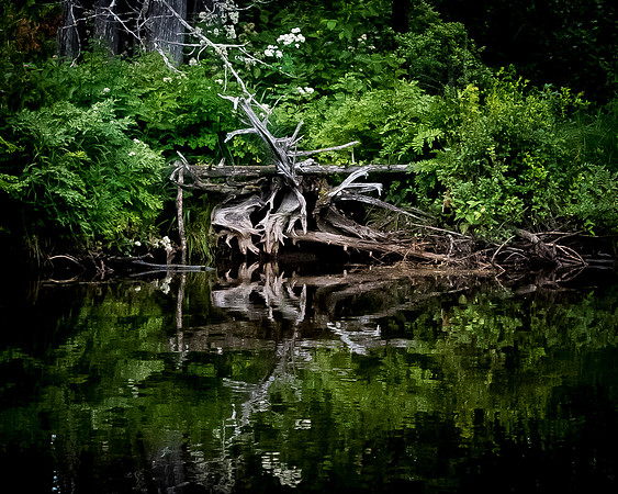 05_michaels_Reflection_North_Maine_Woods5_2017