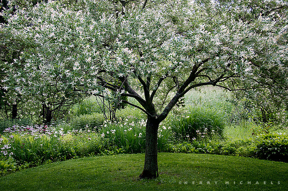 Gordon and Mary Hayward Garden