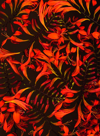 untitled-14-Edit