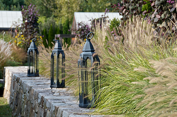 Hyland/Wente Garden
