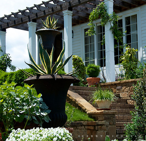 P. Allen Smith