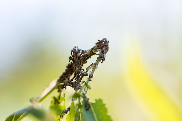 _DSC0180