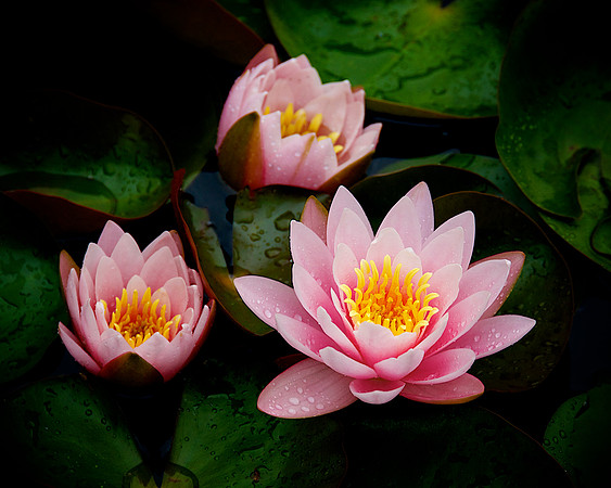 _DSC6761