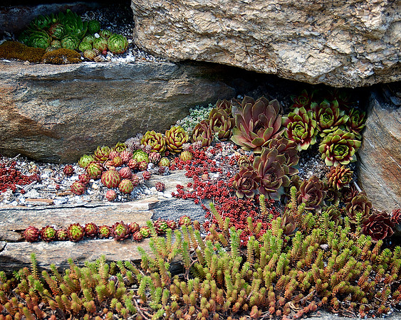 _DSC8325