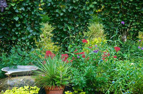 Lathi Garden