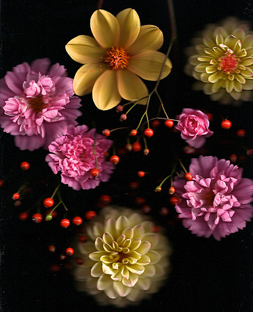 dahliascosmos - Version 2