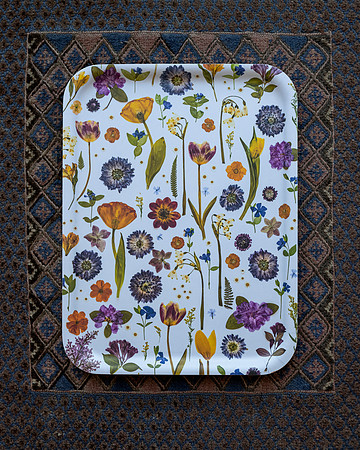 trays_sm-8503831