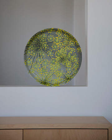 trays_sm-8503801-2