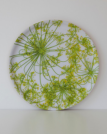 trays_sm-8503977