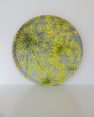 trays_sm-8503999