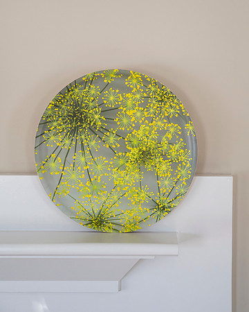 trays_sm-8503692