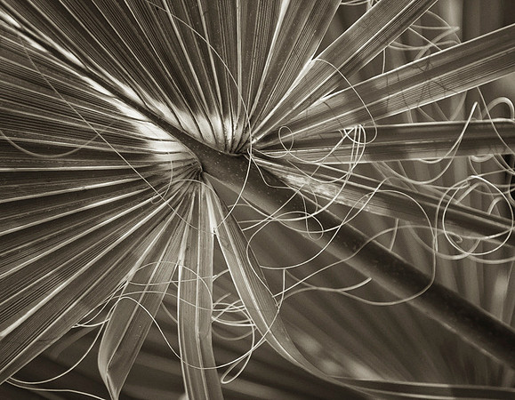 _DSC6580-Edit-2