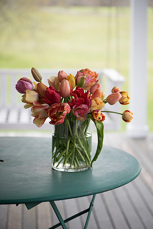 Wicked_Tulips-7099