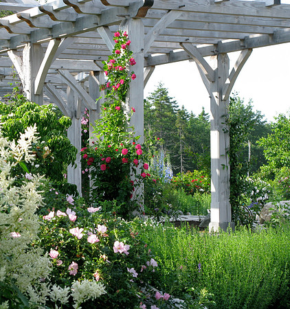 Pergola, Spring