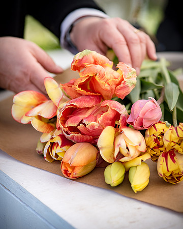 Wicked_Tulips-6794
