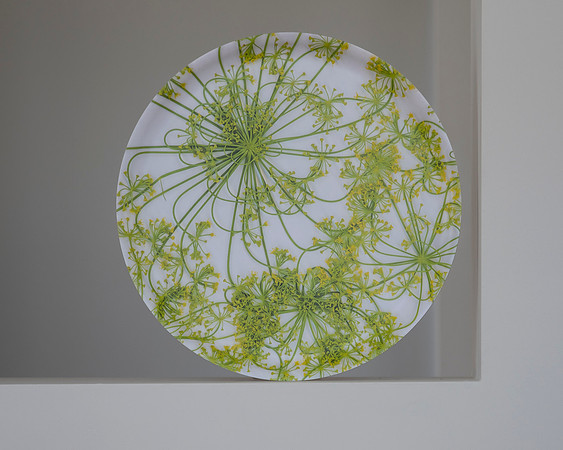 trays_sm-8503782
