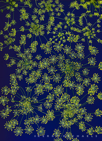 scan20250730_0007-Edit-2