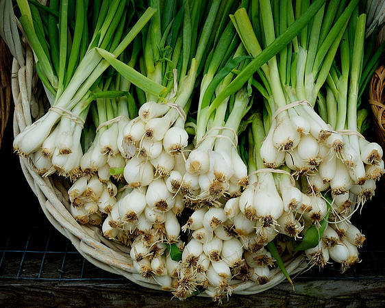 Scallions_DSC_0002