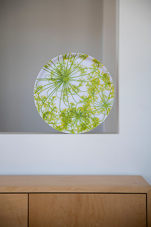 trays_sm-8503785