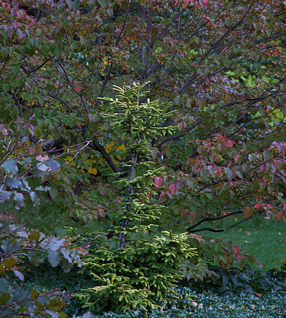 DSC_0636 - Version 2