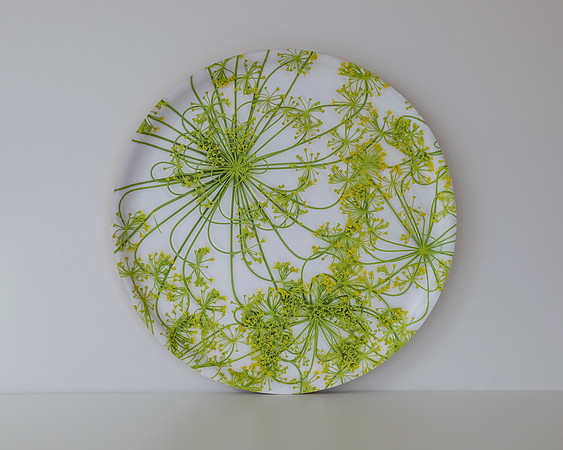 trays_sm-8503991