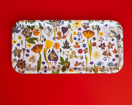 trays_sm-8503546
