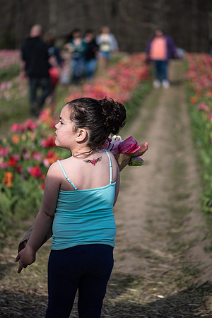 Wicked_Tulips-6824