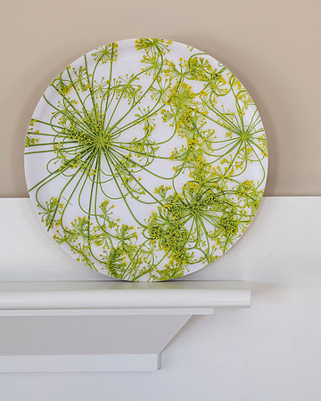 trays_sm-8503676