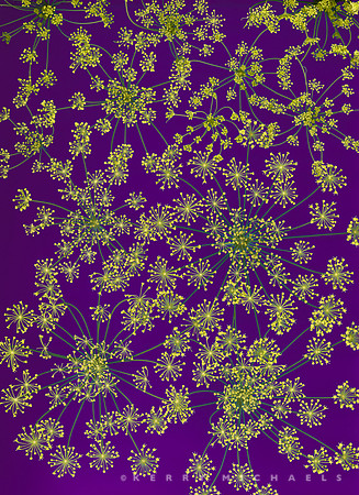 scan20250730_0007-Edit-3