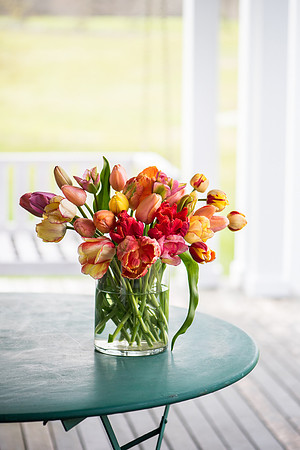 Wicked_Tulips-7152-2