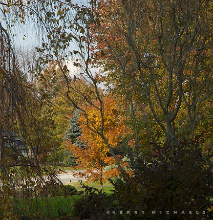 DSC_0498 - Version 4