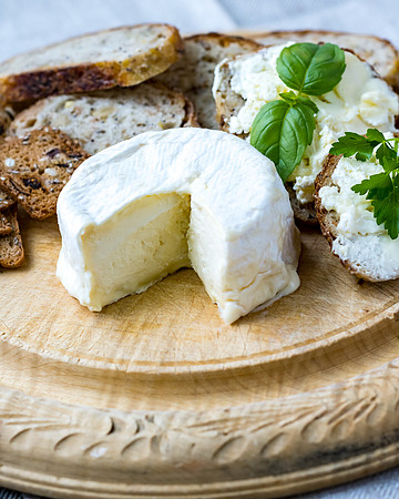 WHCheese-8503792