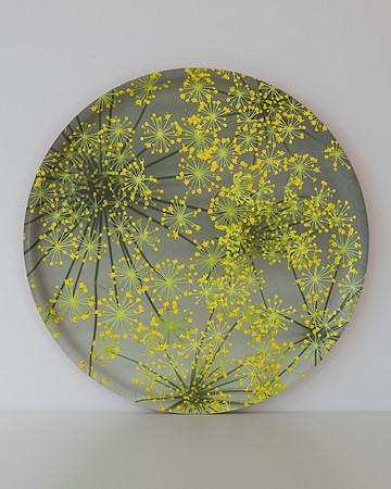 trays_sm-8503994