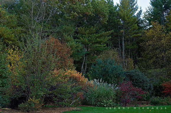DSC_0022 - Version 4
